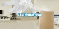 甘南商用除湿机
