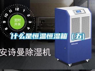 知识百科什么是恒温恒湿箱（五)
