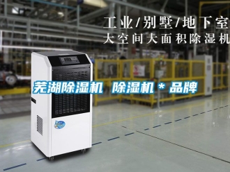 企业新闻芜湖除湿机 除湿机＊品牌