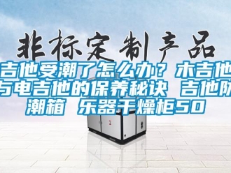 常见问题吉他受潮了怎么办？木吉他与电吉他的保养秘诀 吉他防潮箱 乐器干燥柜50