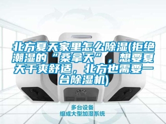 企业新闻北方夏天家里怎么除湿(拒绝潮湿的“桑拿天”，想要夏天干爽舒适，北方也需要一台除湿机)