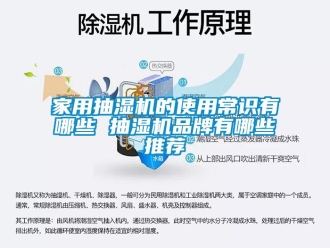 企业新闻家用抽湿机的使用常识有哪些 抽湿机品牌有哪些推荐