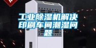 工业除湿机解决印刷车间潮湿问题