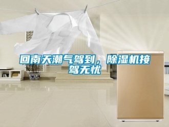 行业新闻回南天潮气驾到，除湿机接驾无忧