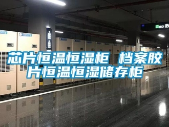 知识百科芯片恒温恒湿柜 档案胶片恒温恒湿储存柜