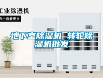 常见问题地下室除湿机 转轮除湿机批发