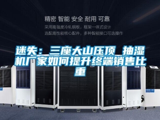常见问题迷失：三座大山压顶 抽湿机厂家如何提升终端销售比重