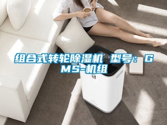 常见问题组合式转轮除湿机 型号：GMS-机组