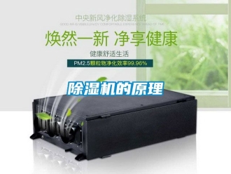 企业新闻除湿机的原理