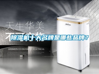 企业新闻除湿机十大名牌是哪些品牌？