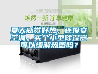 行业新闻夏天感觉好热，还没安空调。买个小型除湿器可以缓解热感吗？