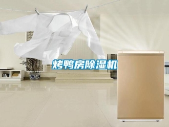 行业新闻烤鸭房除湿机
