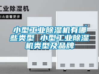 常见问题小型工业除湿机有哪些类型 小型工业除湿机类型及品牌