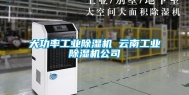 大功率工业除湿机 云南工业除湿机公司