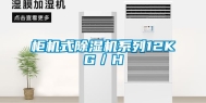 柜机式除湿机系列12KG／H