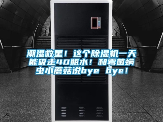 企业新闻潮湿救星！这个除湿机一天能吸走40瓶水！和霉菌螨虫小蘑菇说bye bye！
