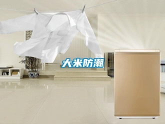 企业新闻大米防潮