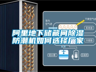 企业新闻阿里地下储藏间除湿防潮机如何选择厂家