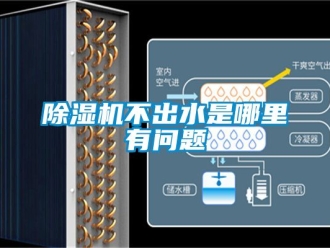 企业新闻除湿机不出水是哪里有问题