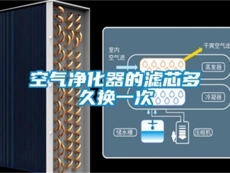 行业新闻空气净化器的滤芯多久换一次