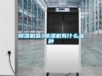 行业新闻除湿机品_除湿机有什么品种