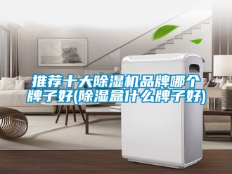 企业新闻推荐十大除湿机品牌哪个牌子好(除湿盒什么牌子好)