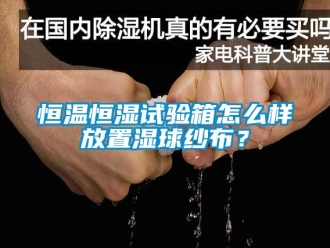 知识百科恒温恒湿试验箱怎么样放置湿球纱布？