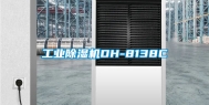 工业除湿机DH-8138C