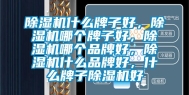 除湿机什么牌子好，除湿机哪个牌子好，除湿机哪个品牌好，除湿机什么品牌好，什么牌子除湿机好