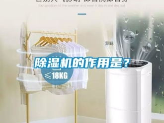 企业新闻除湿机的作用是？