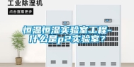 恒温恒湿实验室工程-什么是p2实验室？