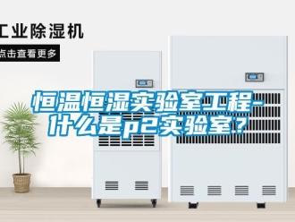 知识百科恒温恒湿实验室工程-什么是p2实验室？