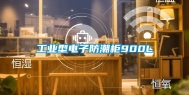 工业型电子防潮柜900L