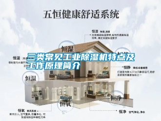 知识百科三类常见工业除湿机特点及工作原理简介