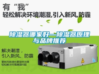 行业新闻除湿器哪家好—除湿器原理与品牌推荐