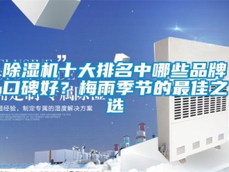 企业新闻除湿机十大排名中哪些品牌口碑好？梅雨季节的最佳之选
