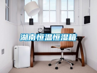 知识百科湖南恒温恒湿箱