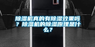 除湿机真的有除湿效果吗？除湿机的除湿原理是什么？