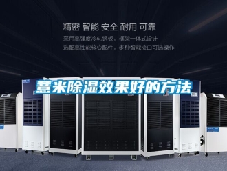 企业新闻薏米除湿效果好的方法