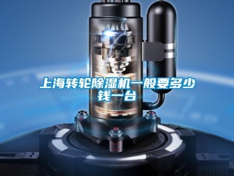 常见问题上海转轮除湿机一般要多少钱一台