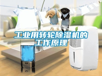 企业新闻工业用转轮除湿机的工作原理