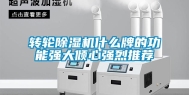 转轮除湿机什么牌的功能强大倾心强烈推荐