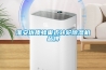 淮安优质蜂巢式转轮除湿机品牌
