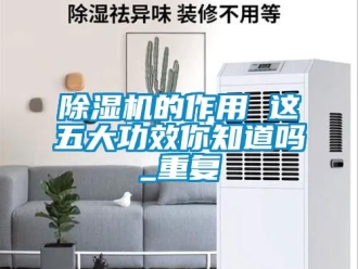 企业新闻除湿机的作用 这五大功效你知道吗_重复