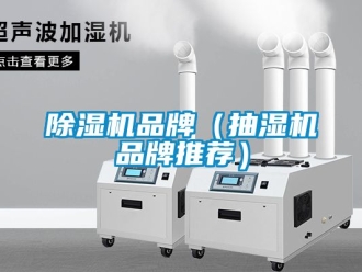 企业新闻除湿机品牌（抽湿机品牌推荐）