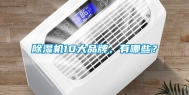 除湿机10大品牌，有哪些？