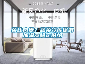 企业新闻菜比肉贵？蔬菜冷库保鲜加湿器稳定供给