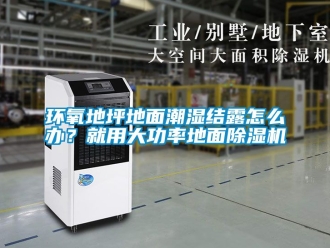 行业新闻环氧地坪地面潮湿结露怎么办？就用大功率地面除湿机