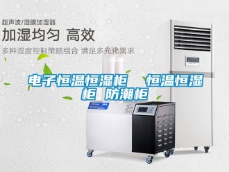 知识百科电子恒温恒湿柜  恒温恒湿柜 防潮柜
