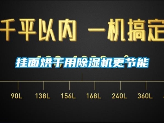 企业新闻挂面烘干用除湿机更节能